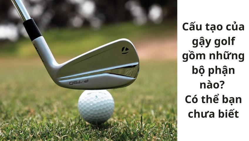 Cấu tạo của gậy golf gồm những bộ phận nào? Có thể bạn chưa biết
